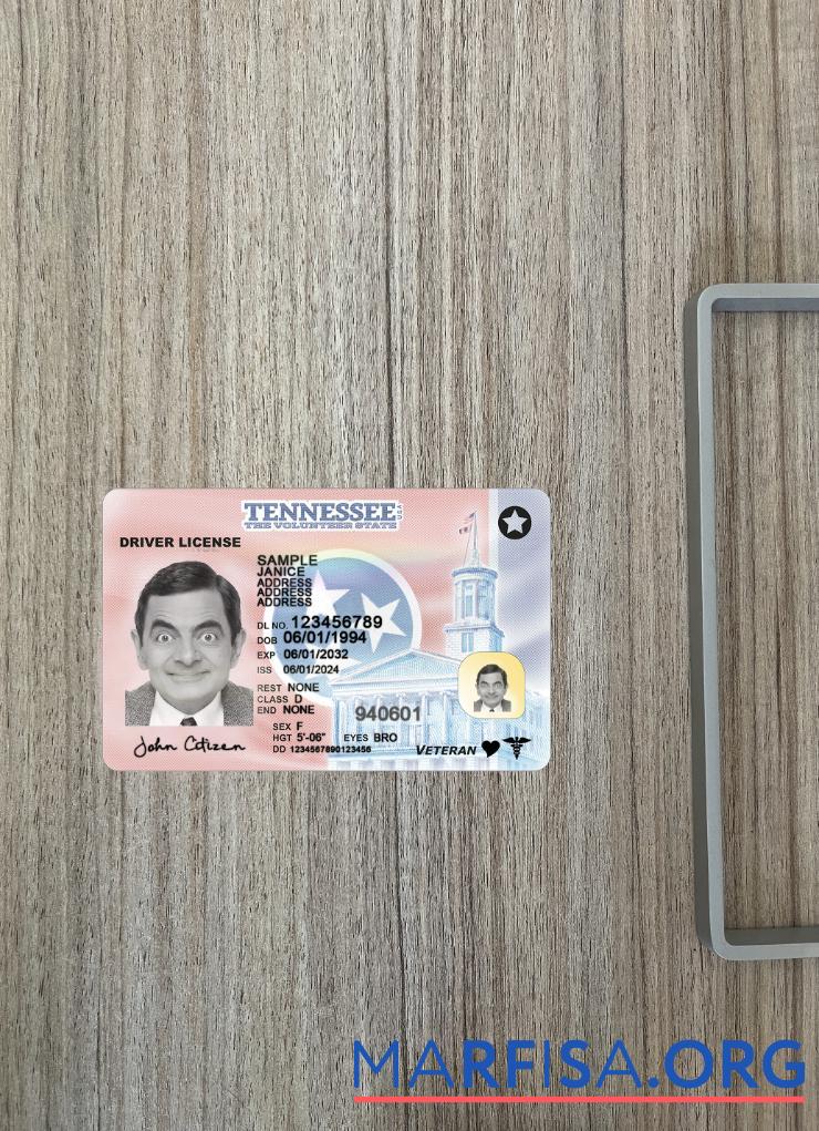 Blank USA Tennessee driving license 2024 present photolook example